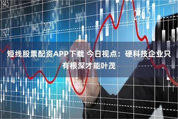 短线股票配资APP下载 今日视点：硬科技企业只有根深才能叶茂